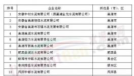 中材、中聯(lián)水泥等13家企業(yè)被列審核名單