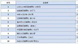 哪家水泥品牌能代表國內的先進水平