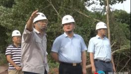 南方水泥上半年?duì)I收3.65億元！新項(xiàng)目推進(jìn)中！