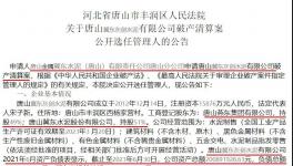 冀東水泥旗下公司破產(chǎn)清算！選聘專(zhuān)業(yè)機(jī)構(gòu)