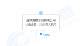 加速收購(gòu)！海螺水泥在下一盤(pán)大棋！