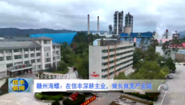 海螺子公司3條熟料生產(chǎn)線(xiàn)實(shí)現(xiàn)營(yíng)收118億！