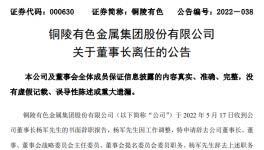 中國銅工業板塊第一股董事長辭職，下一站海螺集團！