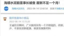 海螺蒸發1300億，逾700億元投資或存變數！