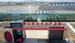 巧用水泥余熱，工業(yè)轉(zhuǎn)型反哺農(nóng)業(yè)！