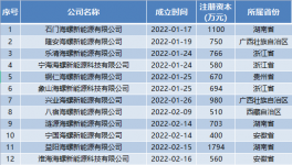 瘋狂！海螺成立96家“能源”公司！