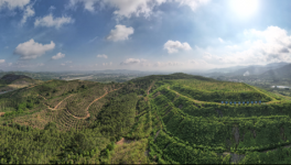 從滿目瘡痍到無塵、清潔、生態(tài)礦山，3年見證涅槃重生！