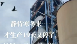 全停！最長200天！20個(gè)省水泥廠停產(chǎn)！
