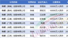 大動作！中建材、海螺、紅獅成立35家新公司！
